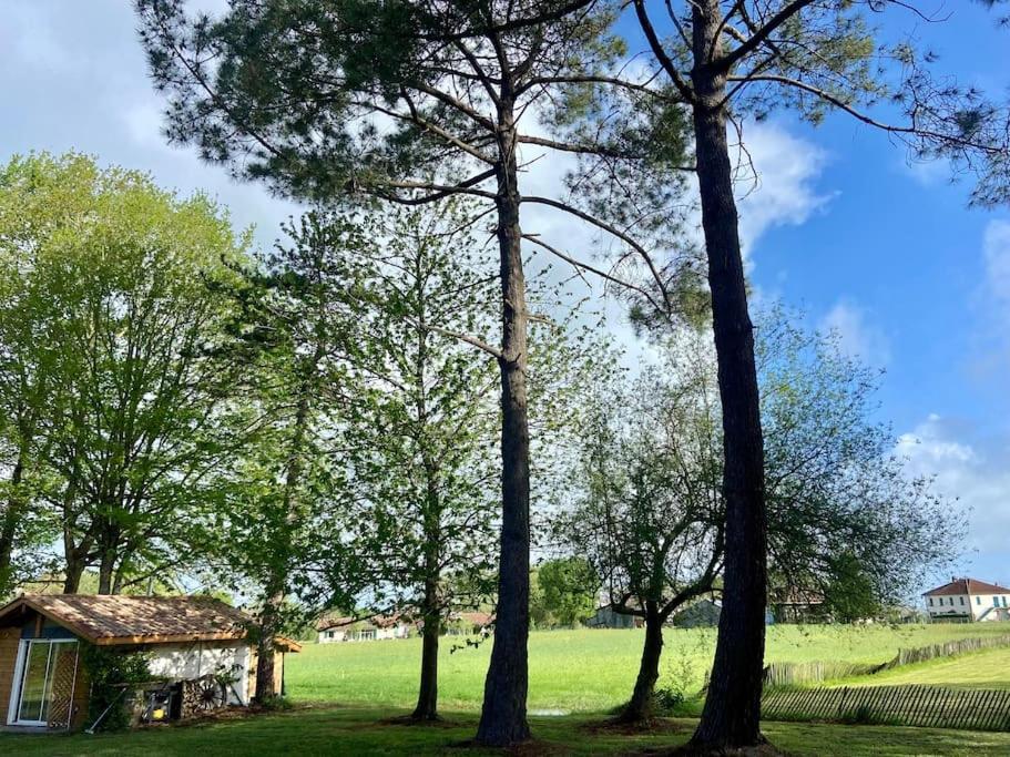 CameGite La Lande En Pays Basque公寓 外观 照片