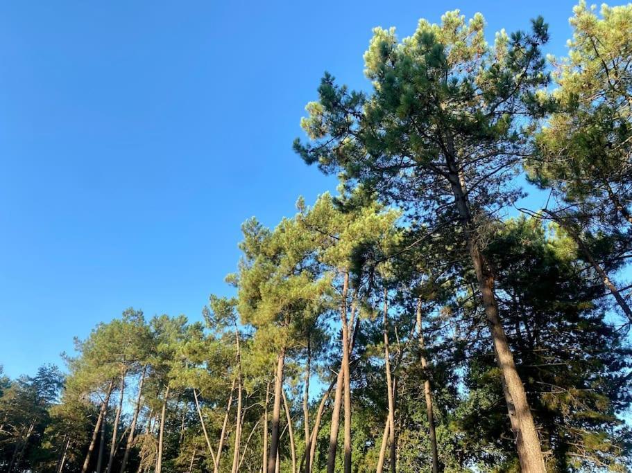 CameGite La Lande En Pays Basque公寓 外观 照片